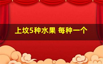 上坟5种水果 每种一个